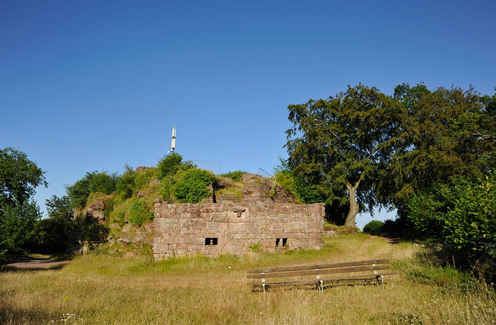 Premiumwandern Lemberg Graf-Heinrich-Weg