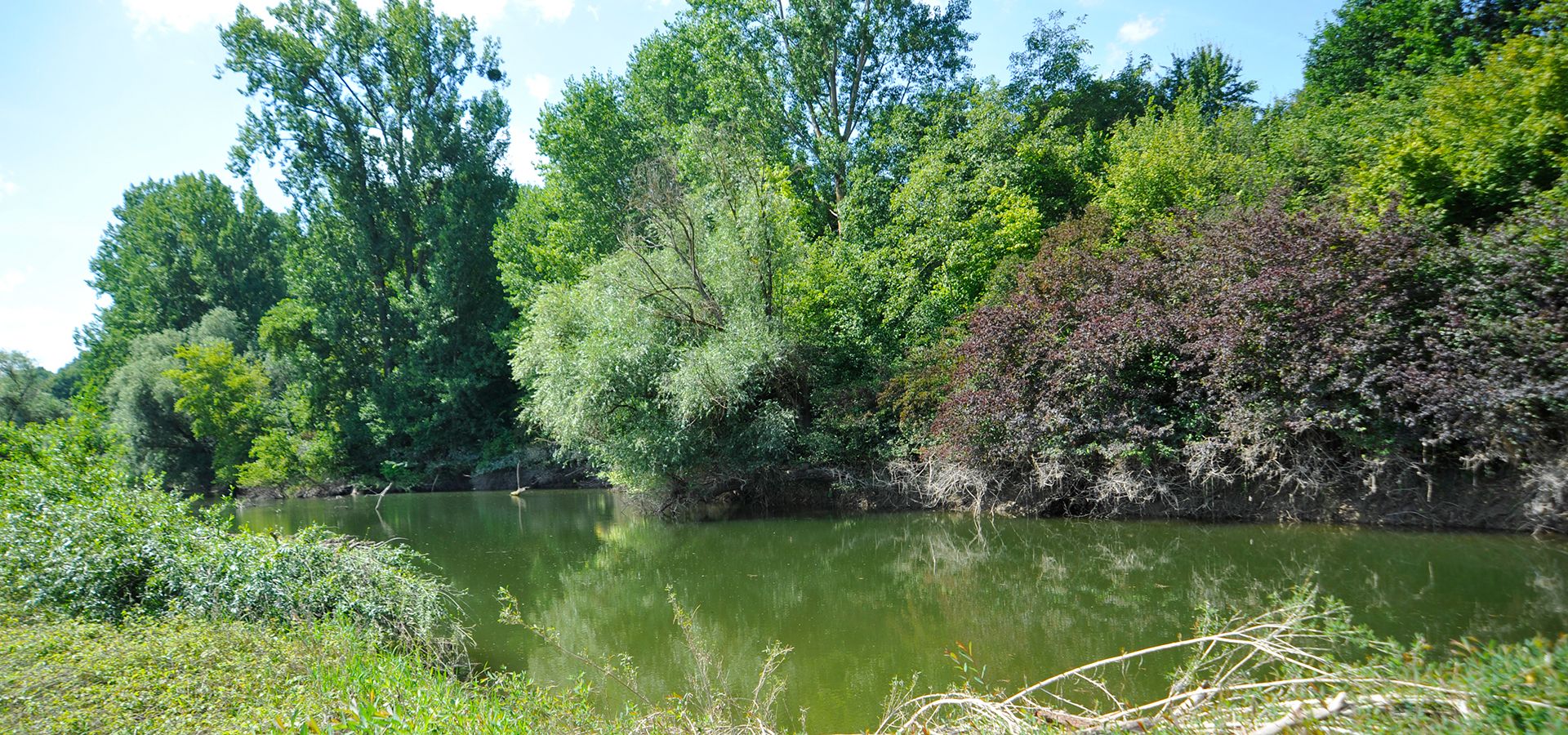 Premimwandern Rheinland-PFalz Rülzheim IM DSCHUNGEL DER PFALZ