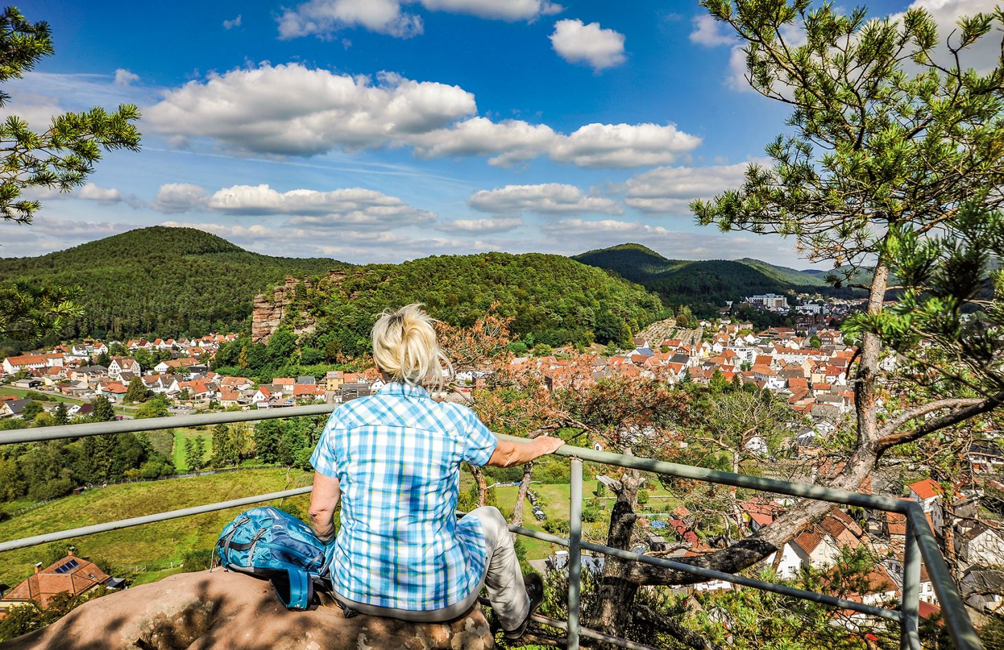 Pfälzerwald & Deutsche Weinstrasse